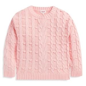 Seed Heritage Little Girl's Cable Knit Sweater 2T